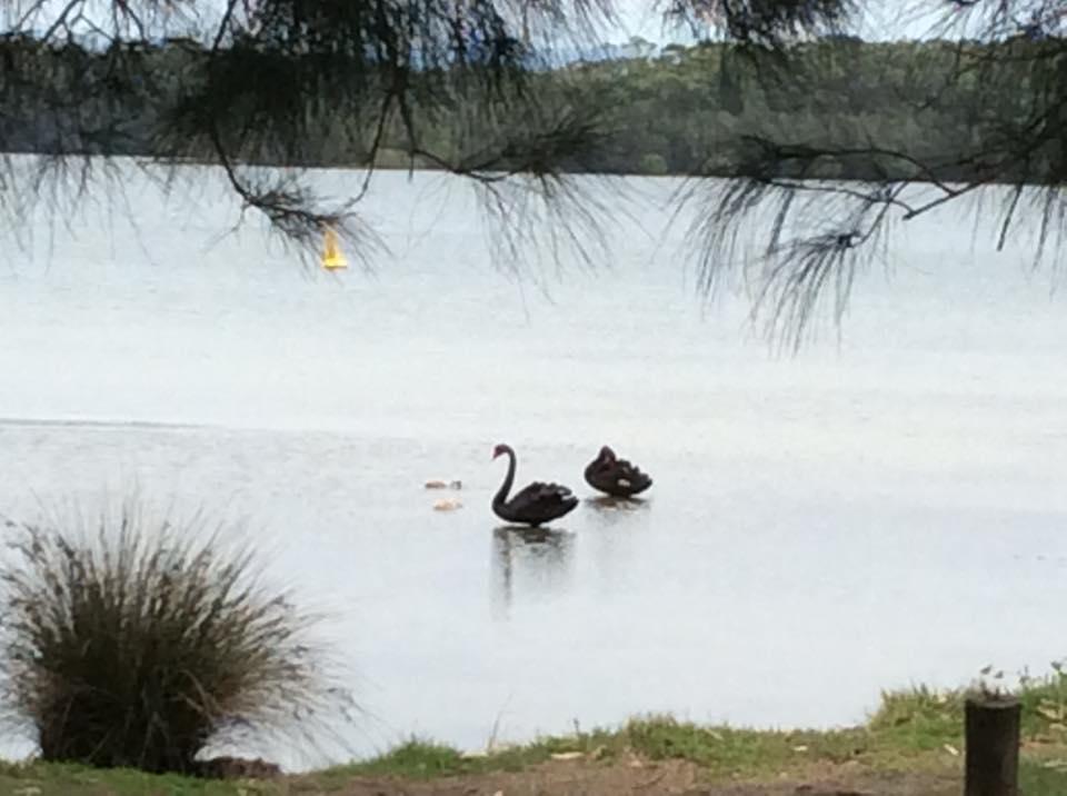 Aloha Water Front Caravan Park St Georges Basin Exterior photo